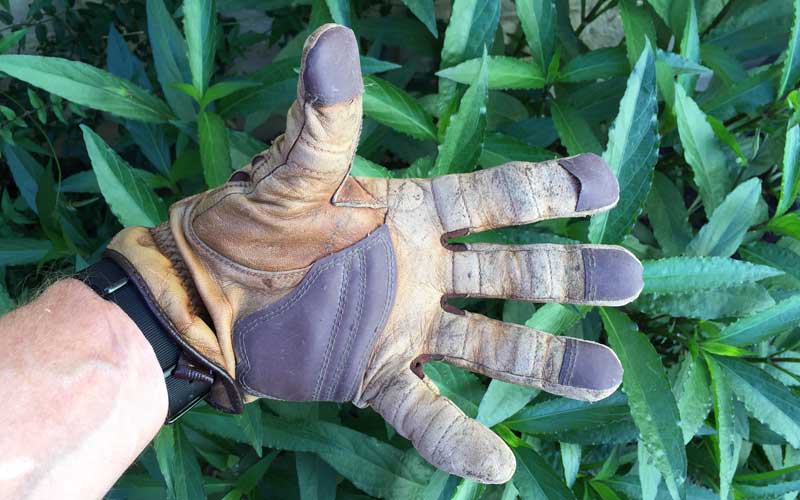 https://thegardenersstore.com/wp-content/uploads/Bionic-Tough-Gardening-Gloves-Palm-with-stiching-failure-in-thumb.jpg