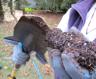 Spear Head Spade - Reinforced Fiberglass Gardening Shovel with Cushioned D Grip