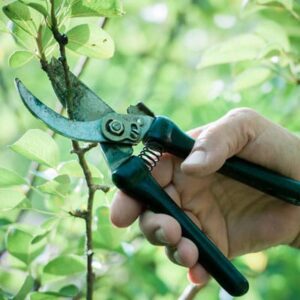 Pruning & Cutting Tools