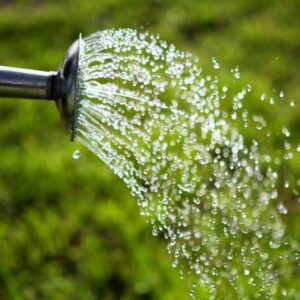 Watering & Irrigation Products